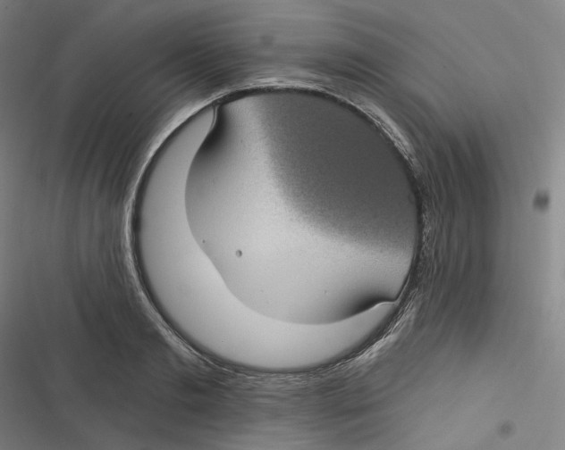 X0000116610893201001081208