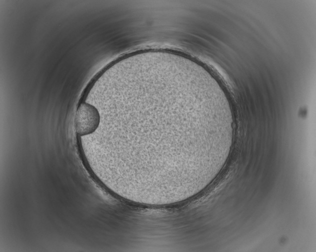 X0000116610894201001081208