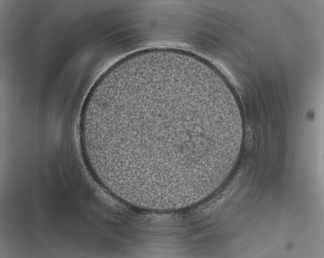 X0000116610895201001081208