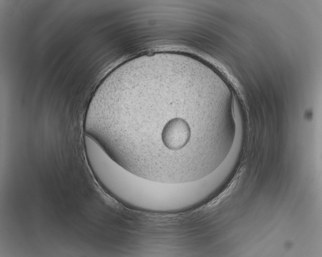 X0000116610897201001081208