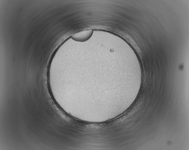 X0000116610898201001081208