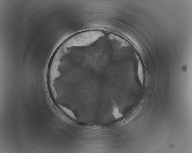 X0000116610899201001081208