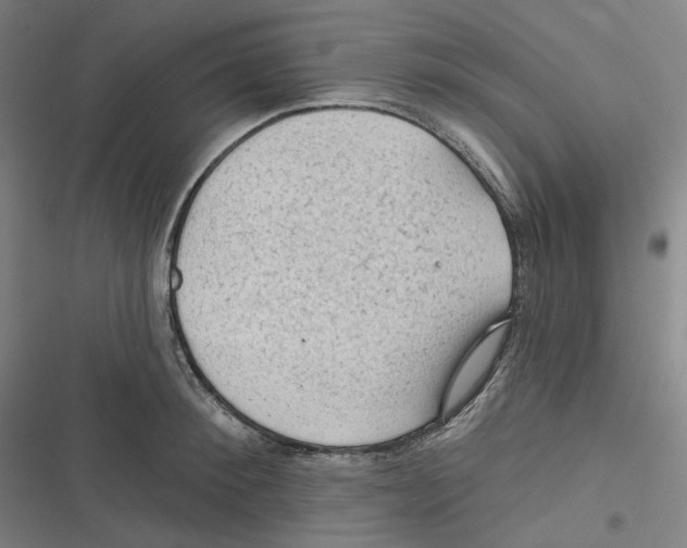 X0000116610900201001081208