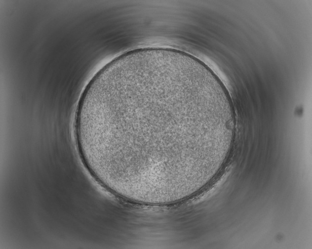 X0000116610901201001081208