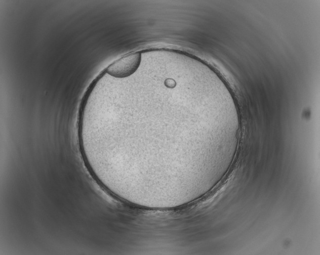 X0000116610902201001081208