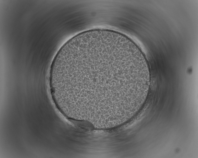 X0000116610903201001081208