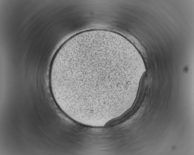 X0000116610904201001081208