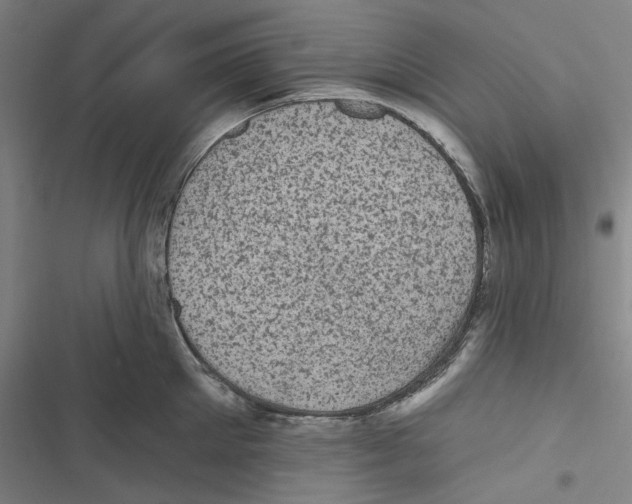 X0000116610905201001081208