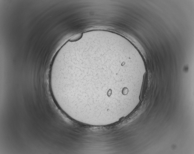 X0000116610906201001081208