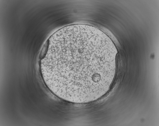 X0000116610908201001081208