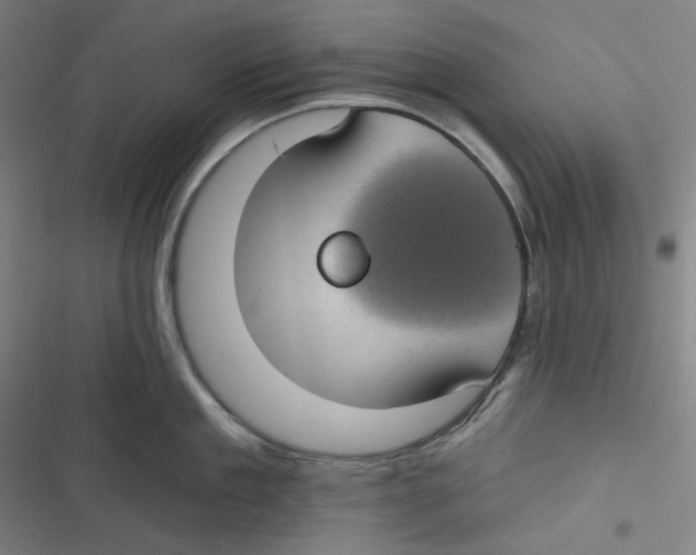 X0000116610909201001081208