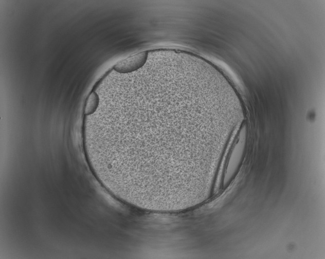 X0000116610910201001081208