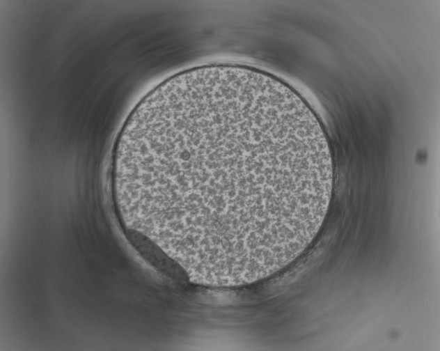 X0000116610911201001081208