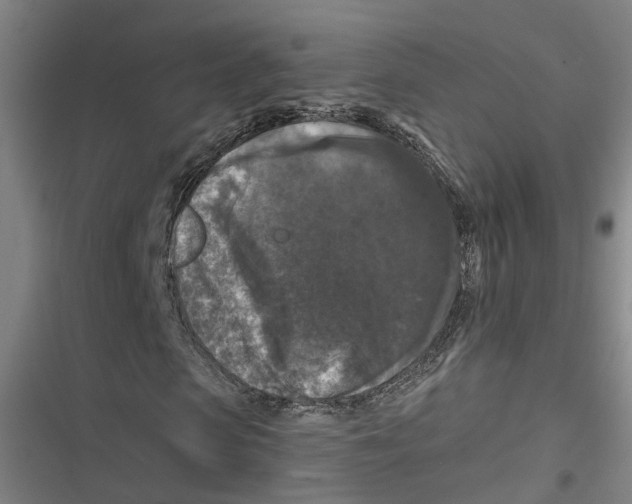 X0000116610913201001081207