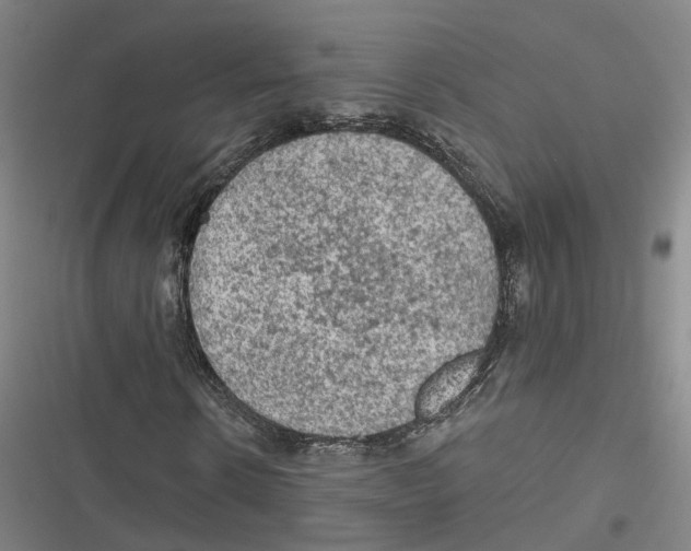 X0000116610914201001081207