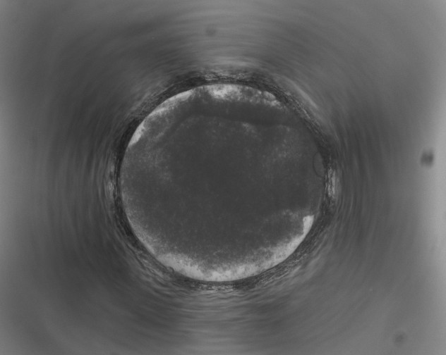 X0000116610915201001081207