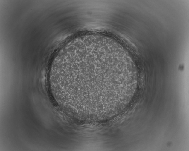 X0000116610917201001081207