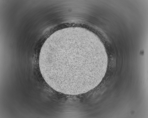 X0000116610918201001081207