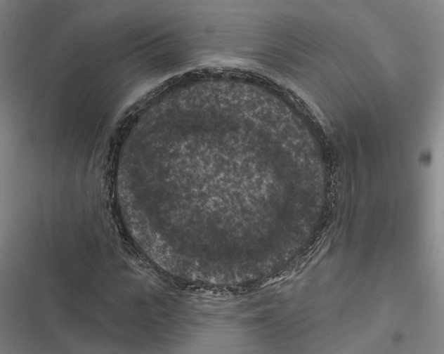 X0000116610919201001081207