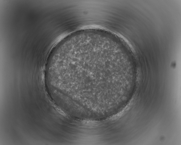 X0000116610921201001081207