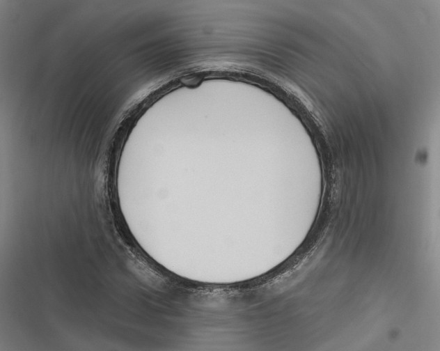 X0000116610922201001081207