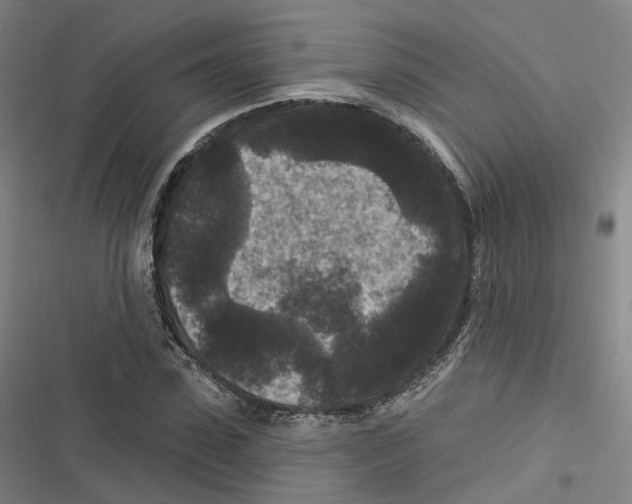 X0000116610923201001081207