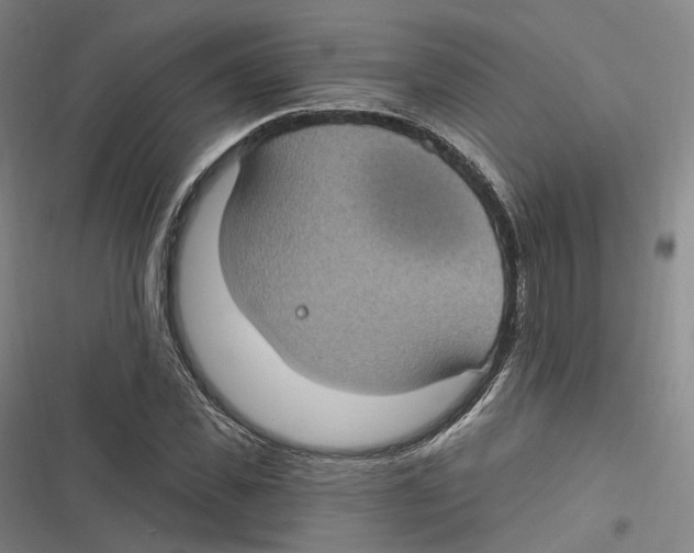 X0000116610925201001081207