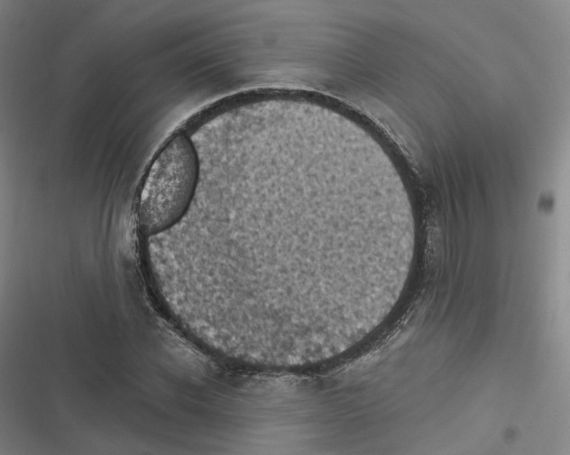 X0000116610926201001081207