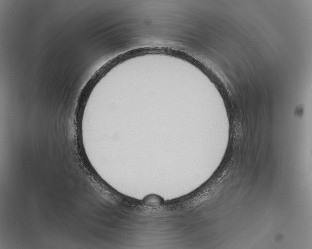 X0000116610927201001081207