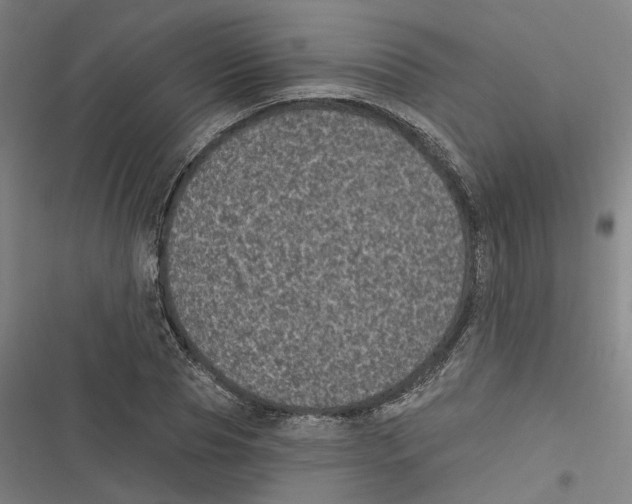 X0000116610929201001081207