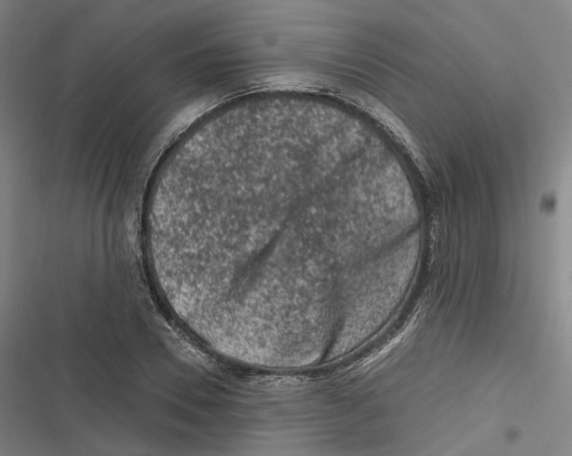 X0000116610930201001081208