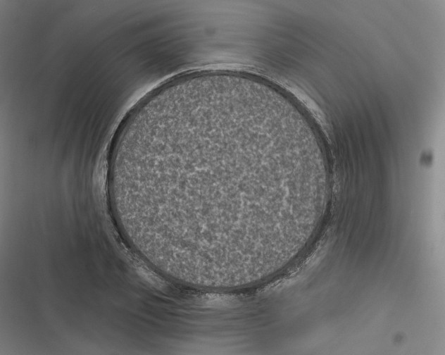 X0000116610933201001081208