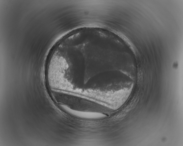 X0000116610935201001081208