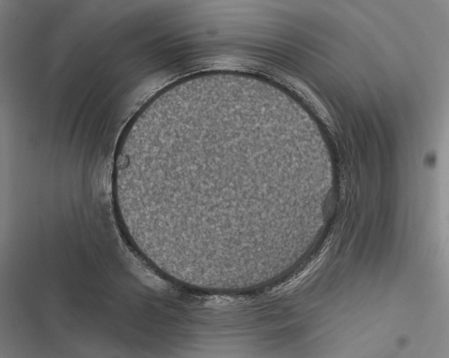 X0000116610938201001081208