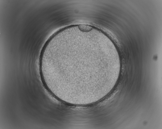 X0000116610942201001081208