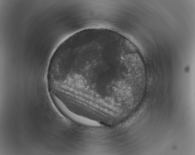 X0000116610943201001081208