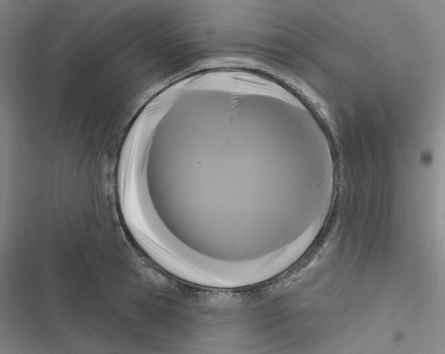 X0000116610945201001081208