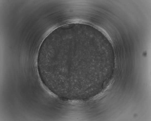 X0000116610946201001081208