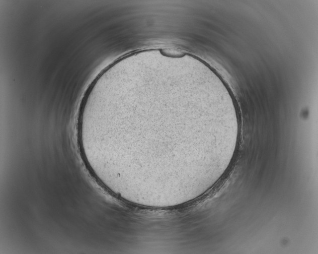 X0000116610949201001081208