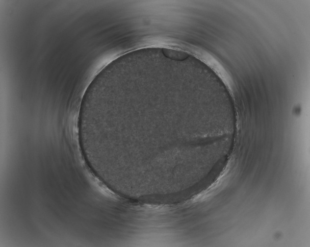 X0000116610954201001081208