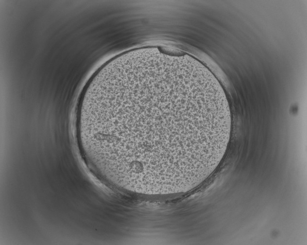 X0000116610955201001081208