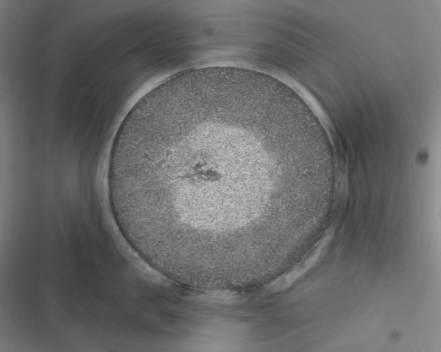 X0000116610957201001081208