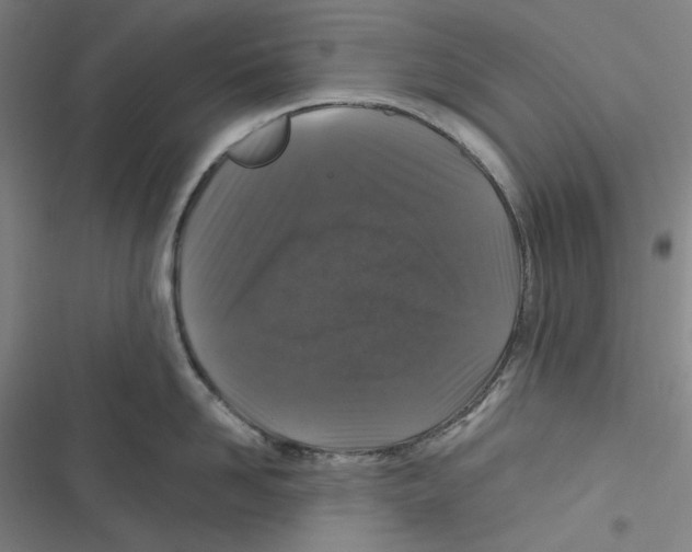 X0000116610958201001081208