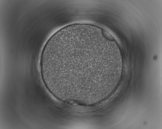 X0000116610959201001081208