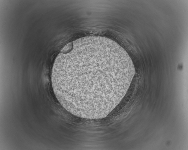 X0000116610962201001081207