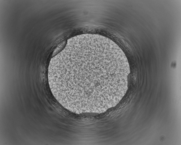 X0000116610964201001081207