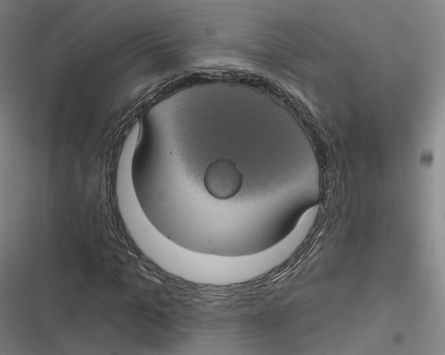 X0000116610965201001081207