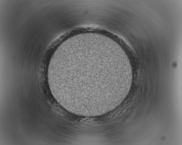 X0000116610967201001081207