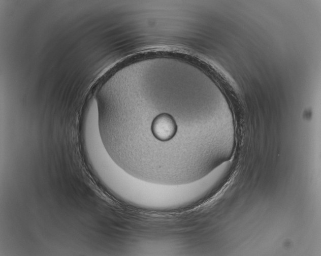 X0000116610969201001081207