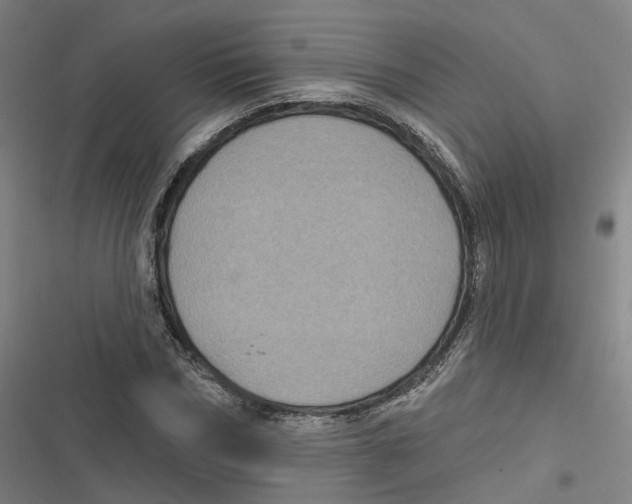 X0000116610970201001081207